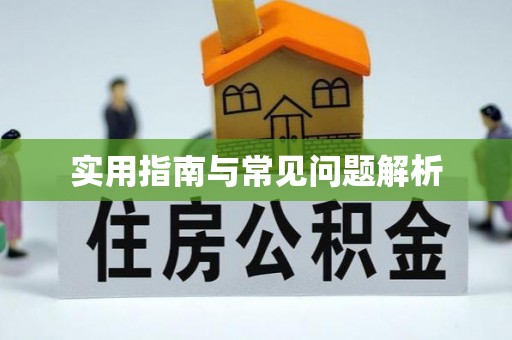 香洲实用指南与常见问题解析
