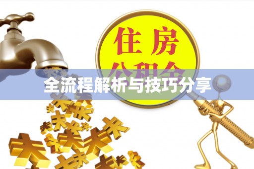 香洲全流程解析与技巧分享